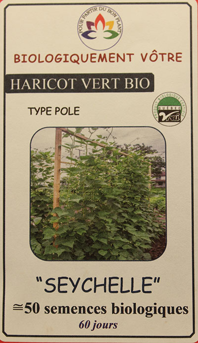 Haricot Vert ‘Seychelles’ Bio /  ‘Seychelles’ Green Bean Bio - Pépinière