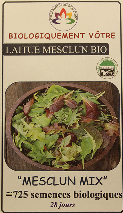 Laitue Mesclun Mix Bio /  Mesclun Lettuce Mix Bio - Pépinière