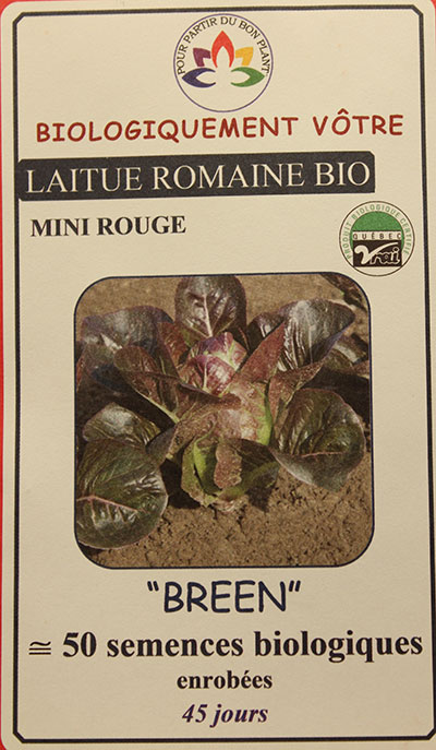 Laitue Mini Romaine Rouge Bio / Red Mini Romaine Lettuce Bio - Pépinière