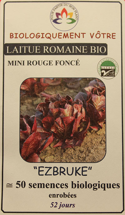 Laitue Mini Romaine Rouge ‘Ezbruke’ Bio /  ‘Ezbruke’ Red Mini Roman Bio - Pépinière