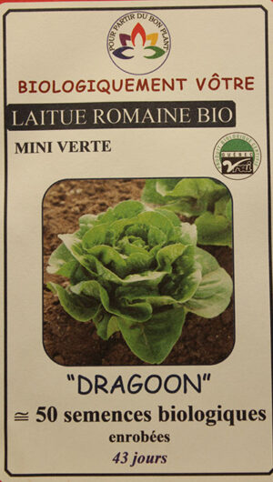 Laitue Mini Romaine Verte ‘Dragoon’ Bio / ‘Dragoon’ Green Mini Romaine Lettuce Bio - Pépinière