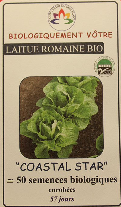 Laitue Romaine Verte ‘Coastal Star’ Bio /  ‘Coastal Star’ Green Romaine Lettuce Bio - Pépinière