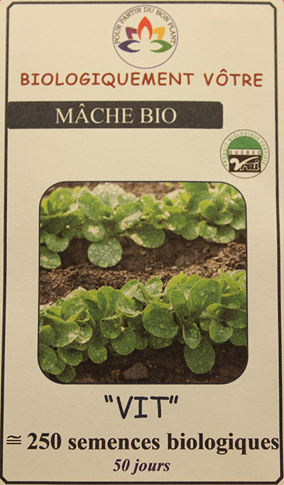 Mâche Bio /  Lamb’s Lettuce Bio - Pépinière
