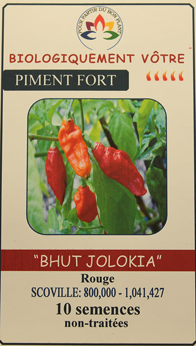 Piment ‘Bhut Jolokia’ Non Traité / ‘Bhut Jolokia’ Pepper - Pépinière
