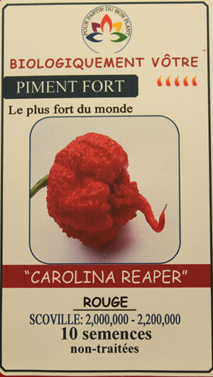Piment Rouge ‘Carolina Reaper’ Non Traité / ‘Carolina Reaper’ Red Pepper - Pépinière