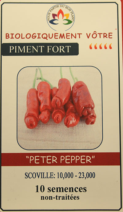 Piment Rouge ‘Peter Pepper’ Non Traité / ‘Peter Pepper’ Red Pepper Untreated - Pépinière