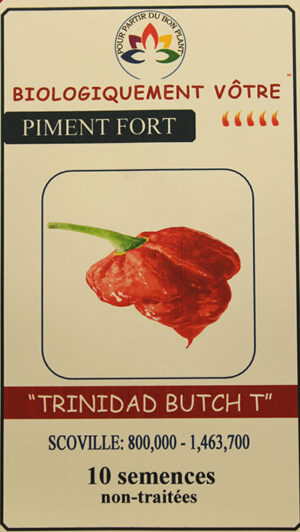 Piment ‘Trinidad Butch T’ Non Traité / ‘Trinidad Butch T’ Pepper Untreated - Pépinière