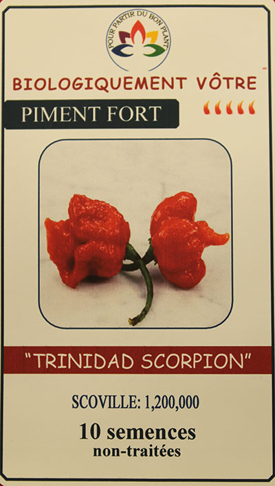 Piment Rouge ‘Trinidad Scorpion’ Non Traité / ‘Trinidad Scorpion’ Red Pepper Untreated - Pépinière