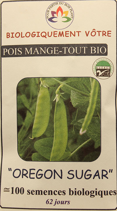 Pois Mange-Tout ‘Oregon Sugar’ Bio /  ‘Oregon Sugar’ Snow Peas Bio - Pépinière