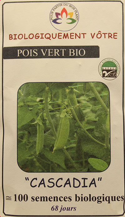 Pois Vert ‘Cascadia’ Bio / ‘Cascadia’ Green Pea Bio - Pépinière