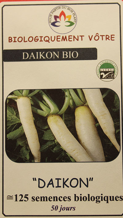 Radis Daikon Bio / Daikon Radish Bio - Pépinière