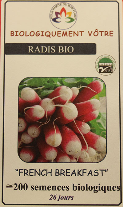 Radis ‘French Breakfast’ Bio / ‘French Breakfast’ Radish Bio - Pépinière