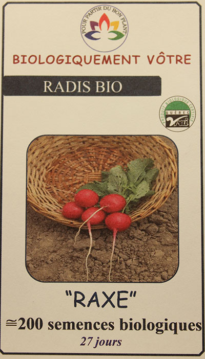 Radis ‘Raxe’ Bio / ‘Raxe’ Radish Bio - Pépinière