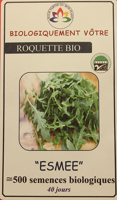 Roquette ‘Esmee’ Bio / ‘Esmee’ Arugula Bio - Pépinière
