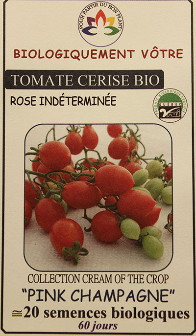 Tomate Cerise Rose ‘Cream of the Crop’ ‘Pink Champagne’ Bio / ‘Pink Champagne’ Pink Cherry Tomato ‘Cream of the Crop’ Bio - Pépinière