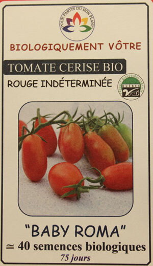 Tomate Cerise Rouge ‘Baby Roma’ Bio / ‘Baby Roma’ Red Cherry Tomato Bio - Pépinière