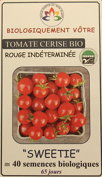 Tomate Cerise Rouge ‘Sweetie’ Bio / ‘Sweetie’ Red Cherry Tomato Bio - Pépinière