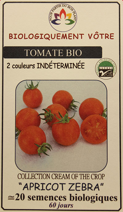 Tomate ‘Cream of the Crop’ Rouge Striée Jaune ‘Apricot Zebra’ Bio / ‘Apricot Zebra’ Red Striated Yellow Tomato ‘Cream of the Crop’ Bio - Pépinière