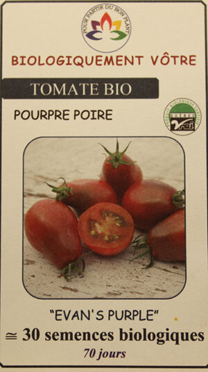 Tomate Pourpre ‘Evan’s Purple Pear’ Bio / ‘Evan’s Purple Pear’ Purple Tomato Bio - Pépinière