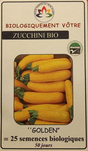 Zucchini Jaune Bio / Yellow Zucchini Bio - Pépinière