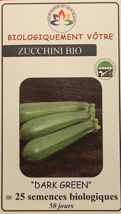 Zucchini Vert Bio / Green Zucchini Bio - Pépinière