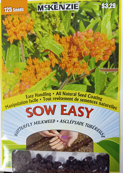 Asclépiade Tubéreuse Sow Easy / Tuberous Milkweed Sow Easy - Pépinière