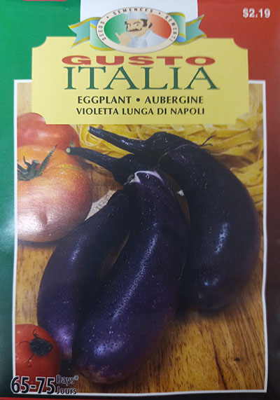 Aubergine Longue Violette de Napoli Gusto Italia / Napoli Long Violet Eggplant Gusto Italia - Pépinière