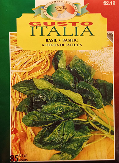 Basilic à Feuille de Laitue Gusto Italia /  Lettuce Leaf Basil Gusto Italia - Pépinière