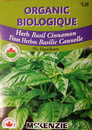 Basilic ‘Cannelle’ Biologique  / ‘Cinnamon’ Basil Organic - Pépinière
