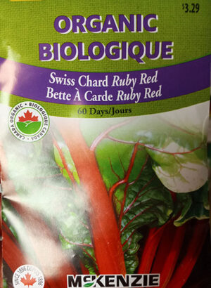 Bette à Carde ‘Ruby Red’ Biologique / ‘Ruby Red’ Swiss Chard Organic - Pépinière