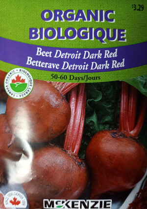 Betterave ‘Detroit Dark Red’ Biologique  / ‘Detroit Dark Red’ Beet Organic - Pépinière