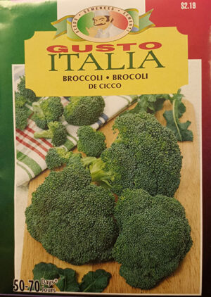 Brocoli de Cicco Gusto Italia / Cicco Broccoli Gusto Italia - Pépinière