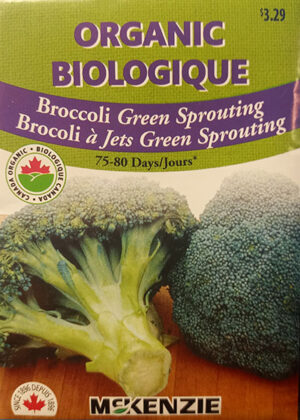 Brocoli ‘Jets Green Sprouting’ Biologique  / ‘Jets Green Sprouting’ Broccoli Organic - Pépinière