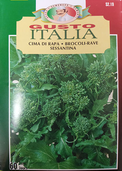 Brocoli-Rave ‘Sessantina’ Gusto Italia / ‘Sessantina’ Broccoli Root Gusto Italia - Pépinière