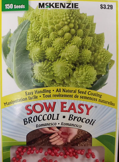 Brocoli Romanesco Sow Easy  / Romanesco Broccoli Sow Easy - Pépinière