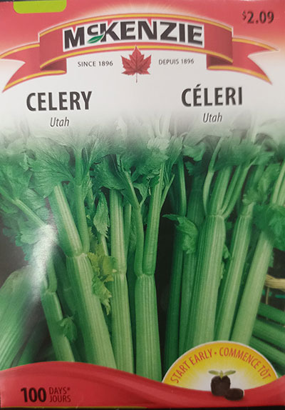 Céleri ‘Utah’ / ‘Utah’ Celeri - Pépinière