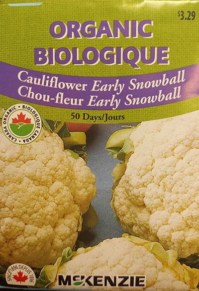 Chou-Fleur ‘Early Snowball’ Biologique / ‘Early Snowball’ Cauliflower Organic - Pépinière