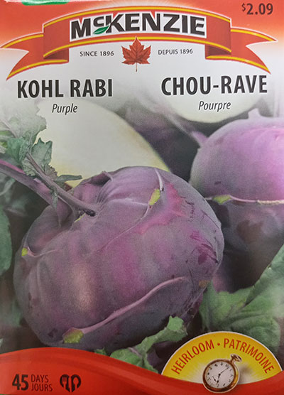 Chou-Rave Pourpre / Purple Kohl Rabi - Pépinière