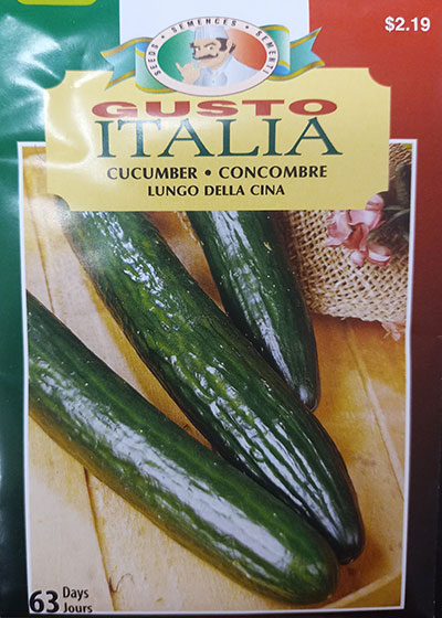 Concombre Long de Chine Gusto Italia / Chinese Long Cucumber Gusto Italia - Pépinière