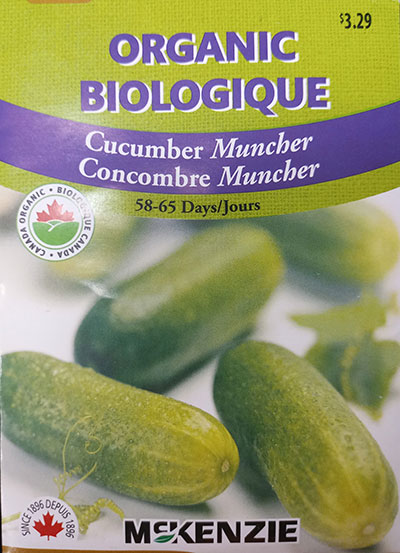 Concombre ‘Muncher’ Biologique / ‘Muncher’ Cucumber Organic - Pépinière
