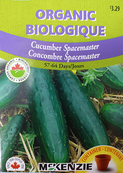 Concombre ‘Spacemaster’ Biologique / ‘Spacemaster’ Cucumber Organic - Pépinière