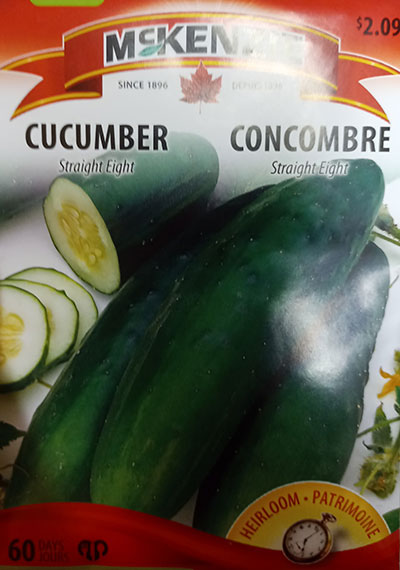 Concombre ‘Straight Eight’ / ‘Straight Eight’ Cucumber - Pépinière