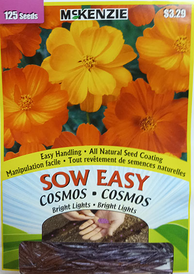 Cosmos ‘Bright Lights’ Sow Easy / ‘Bright Lights’ Cosmos Sow Easy - Pépinière