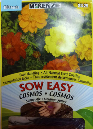 Cosmos Mélange ‘Sunny’ Sow Easy / Cosmos ‘Sunny’ Mix Sow Easy - Pépinière