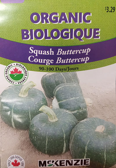 Courge Buttercup Biologique / Buttercup Squash Organic - Pépinière