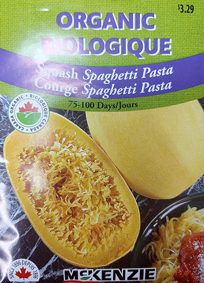 Courge Spaghetti Pasta Biologique / Pasta Spaghetti Squash Organic - Pépinière