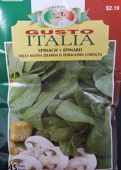Épinard de Nouvelle-Zélande Gusto Italia / New-Zealand Spinach Gusto Italia - Pépinière