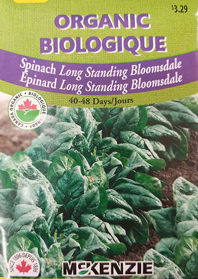 Épinard ‘Long Standing Bloomsdale’ Biologique / ‘Long Standing Bloomsdale’ Spinach Organic - Pépinière