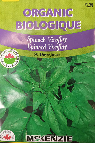 Épinard ‘Viroflay’ Biologique / ‘Viroflay’ Spinach Organic - Pépinière