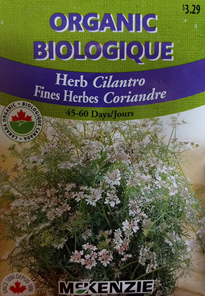 Fines Herbes Coriandre Biologique / Herb Cilantro Organic - Pépinière